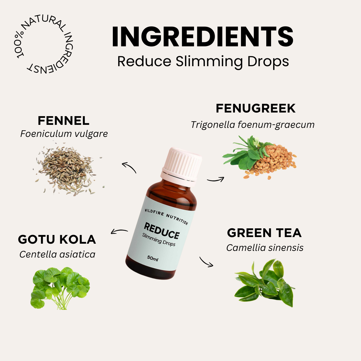 BLACK FLAME EXCLUSIVE BUNDLE