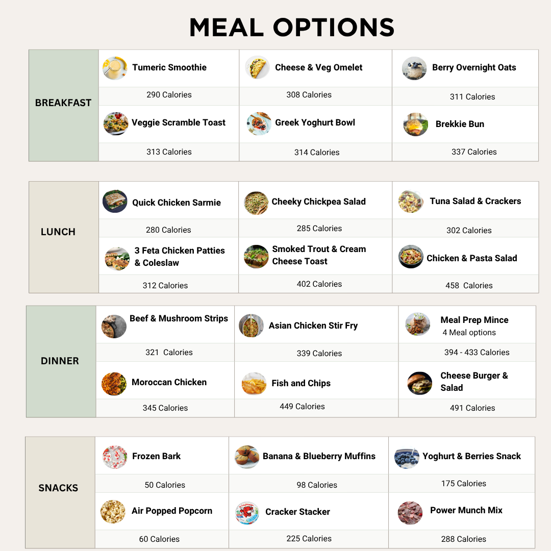 Meal options with calorie counts for breakfast, lunch, dinner, and snacks.